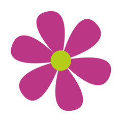 purple flower floral icon