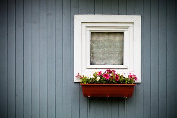 Pot of ornamental plants on the window in the old wooden houses