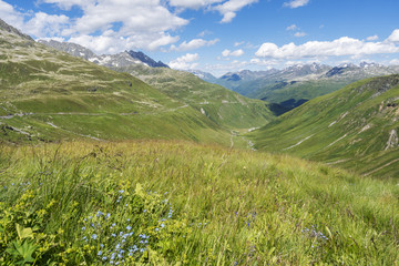 Fototapeta premium Schweizer Alpenwiese mit Bergpanorama Blick - Berglandschaft Andermatt Gotthardregion Schweiz
