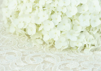 White hydrangea flowers on lace
