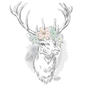 Beautiful deer in a wreath of flowers. Vector illustration for a card or poster. Print on clothes. Hipster.
