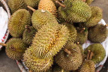 Naklejka na ściany i meble Durian fruit
