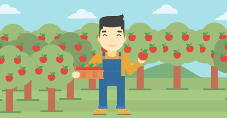 Farmer collecting apples vector illustration.