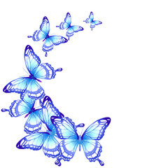butterflies design