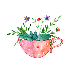 cup of tea with herbs, flowers and berries