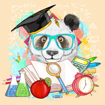 Education hipsters animals students panda goes to school vector