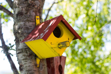Colorful Wooden Bird House