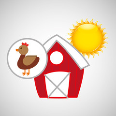 farm countryside animal chicken design