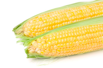 Two ear of corn with leaves isolated on white background