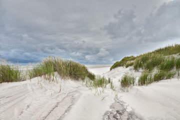 Nordsee - einsame Sanddünen im Sturm
