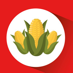 farm countryside corn food design