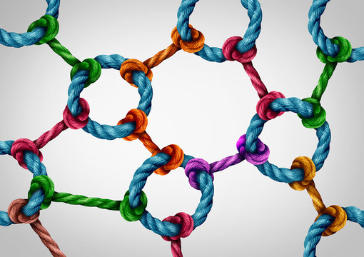 Web Connection Network