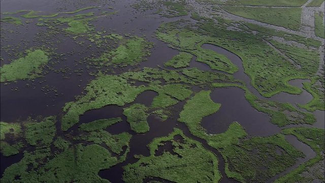 Briere Marshes