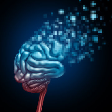 Digital Brain