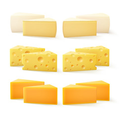 Vector Set of Triangular Pieces of Various Kind of Cheese Swiss Cheddar Bri Camembert Close up Isolated on White Background