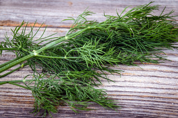 dill herb on wooden table