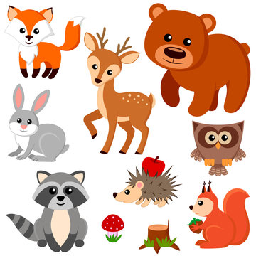 Forest animals. Fox, bear, raccon, hare, deer, owl, hedgehog, squirrel, agaric and tree stump