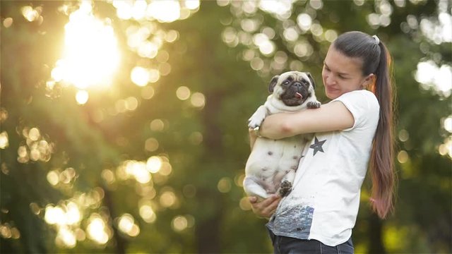 Woman beautiful young happy with long dark hair holding small dog in the garden, girl playing with her Mops in the park