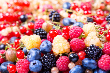 fresh berries