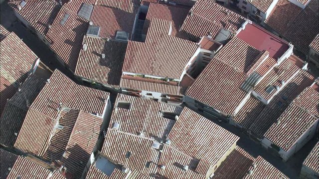 Morella