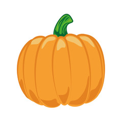 Delicious and fresh pumpkin vegetable, isolated flat icon design vector illustration.