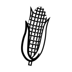 Delicious and fresh corn vegetable, isolated flat icon design vector illustration.