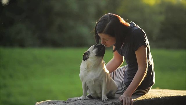 Young beautiful woman blowing a kiss to her dog at the park, Cute Mops kissing a girl, dog and owner sitting on the parapet