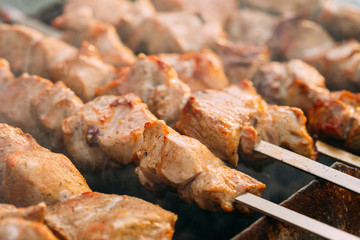 Grilled Barbecue Meat Shashlik Shish Kebab Pork Meat Grilling On