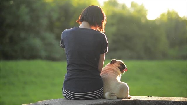 Happy young woman sit back with dog and looking at each other outdoors, girl stroking her mops in a park, warm sunny day