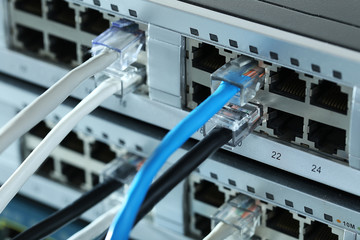 Ethernet cables connected to network switch, close up