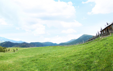 Spring forest on mountain slopes