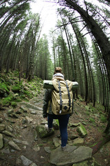 Fototapeta premium Single tourist walking in mountain forest