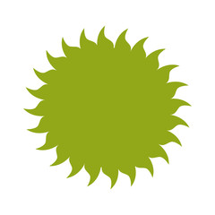 ecological sun design