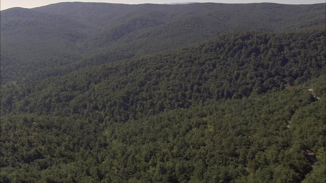 Great Forest Near Ripacndida