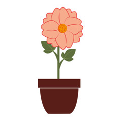 Flower vase colorful, isolated flat icon design.