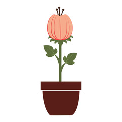 Flower vase colorful, isolated flat icon design.