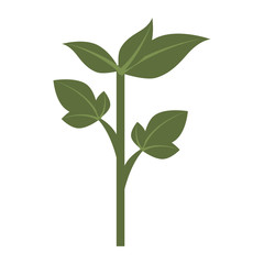 Green plant leaves, isolated flat icon design.