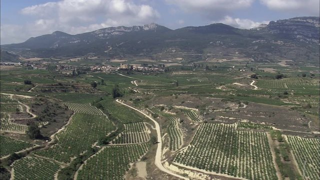 La Rioja Vineyards