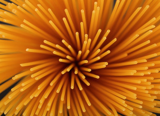 Raw spaghetti full background