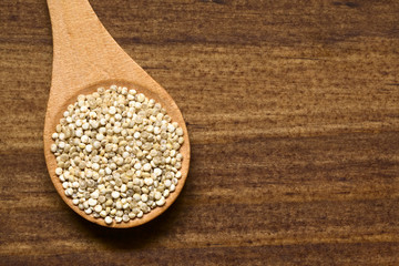 Raw organic white quinoa (lat. Chenopodium quinoa) grains on small wooden spoon, photographed overhead on dark wood with natural light..