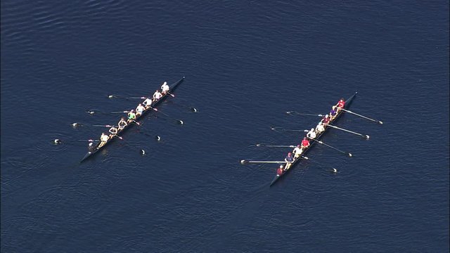 Rowing Eights On Charles River
