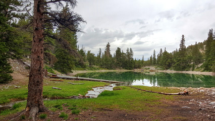 Nevada Great Basin National Park-Alpine Lakes Trail.