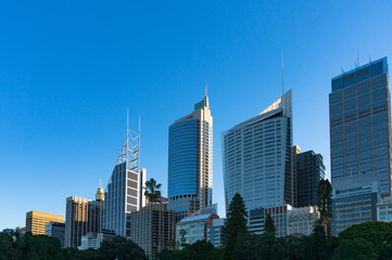 Fototapeta na wymiar Sydney Central Business District skyline viewed from the Domain. Downtown skyscrapers of Sydney city with copy space. New South Wales, Australia