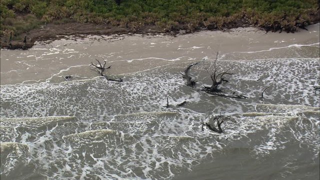 North End Of Blackbeard Island