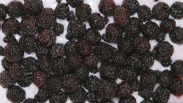 TOP VIEW: Milk fills a blackberries