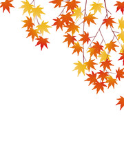 autumn leaves background