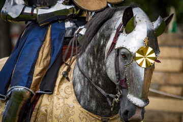 Obraz premium War horse, mounted by a knight in heavy armour, wearing a chanfron. The chanfron was designed to protect the horse's face, A decorative feature common to many chanfrons is a rondel with a small spike