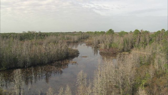 Okefenokee Swamp