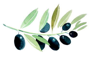 Olive Branch