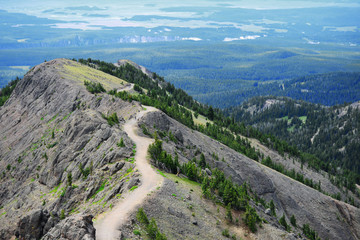 View South from Mount Washburn, Yellowstone National Park